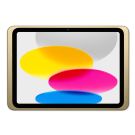Displine Dame Wall 2.0 Wandhalterung iPad 10.9 inch (2022) - gold